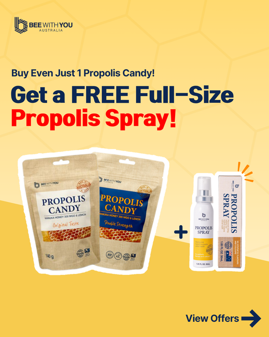 EOFY SALE SPECIALㅣPropolis Candy Original 140g